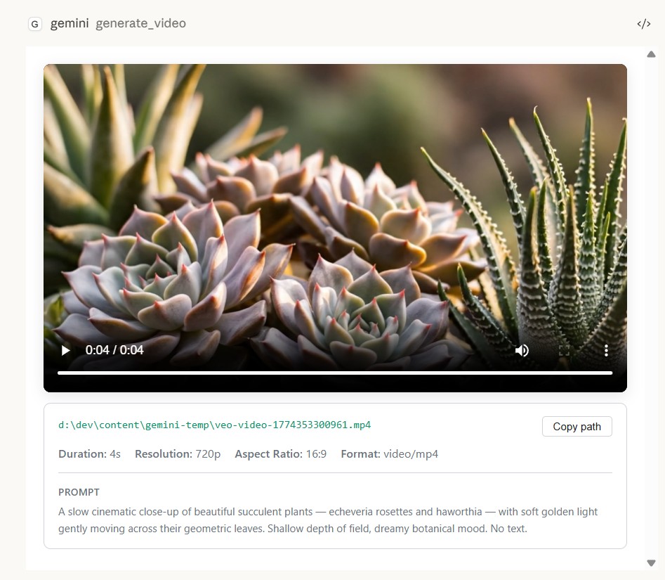 Gemini MCP's video viewer in Claude Desktop playing a Veo clip of succulent plants, with the saved file path, duration, resolution, aspect ratio and the prompt below it