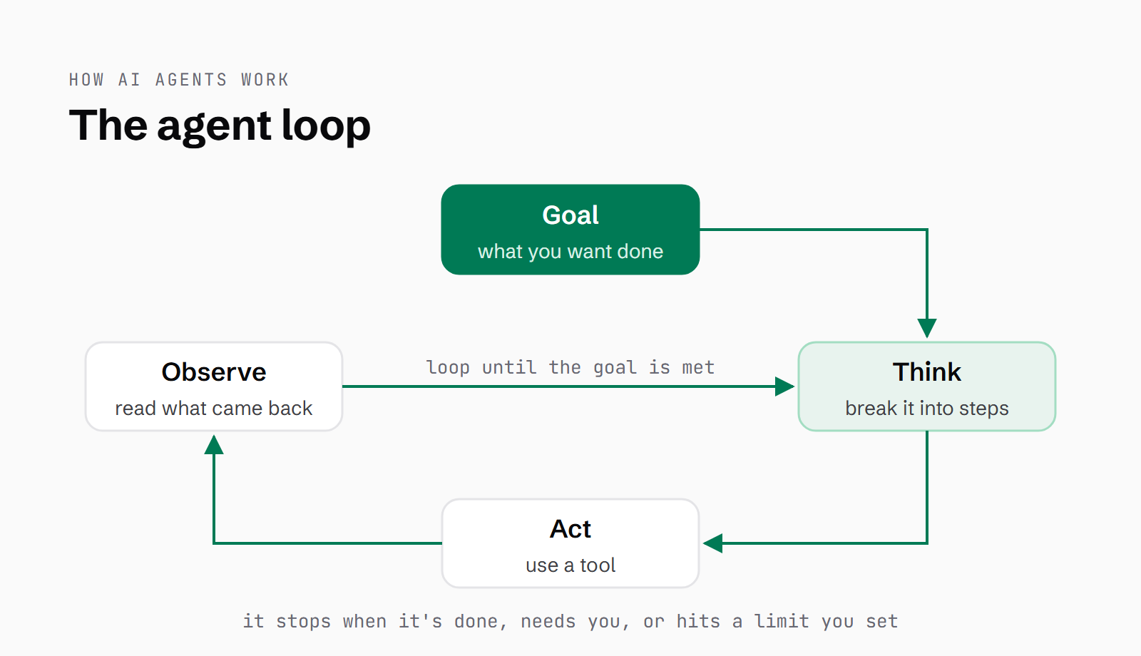 The agent loop: goal, think (break it into steps), act (use a tool), observe (read what came back), and back to think until the goal is met