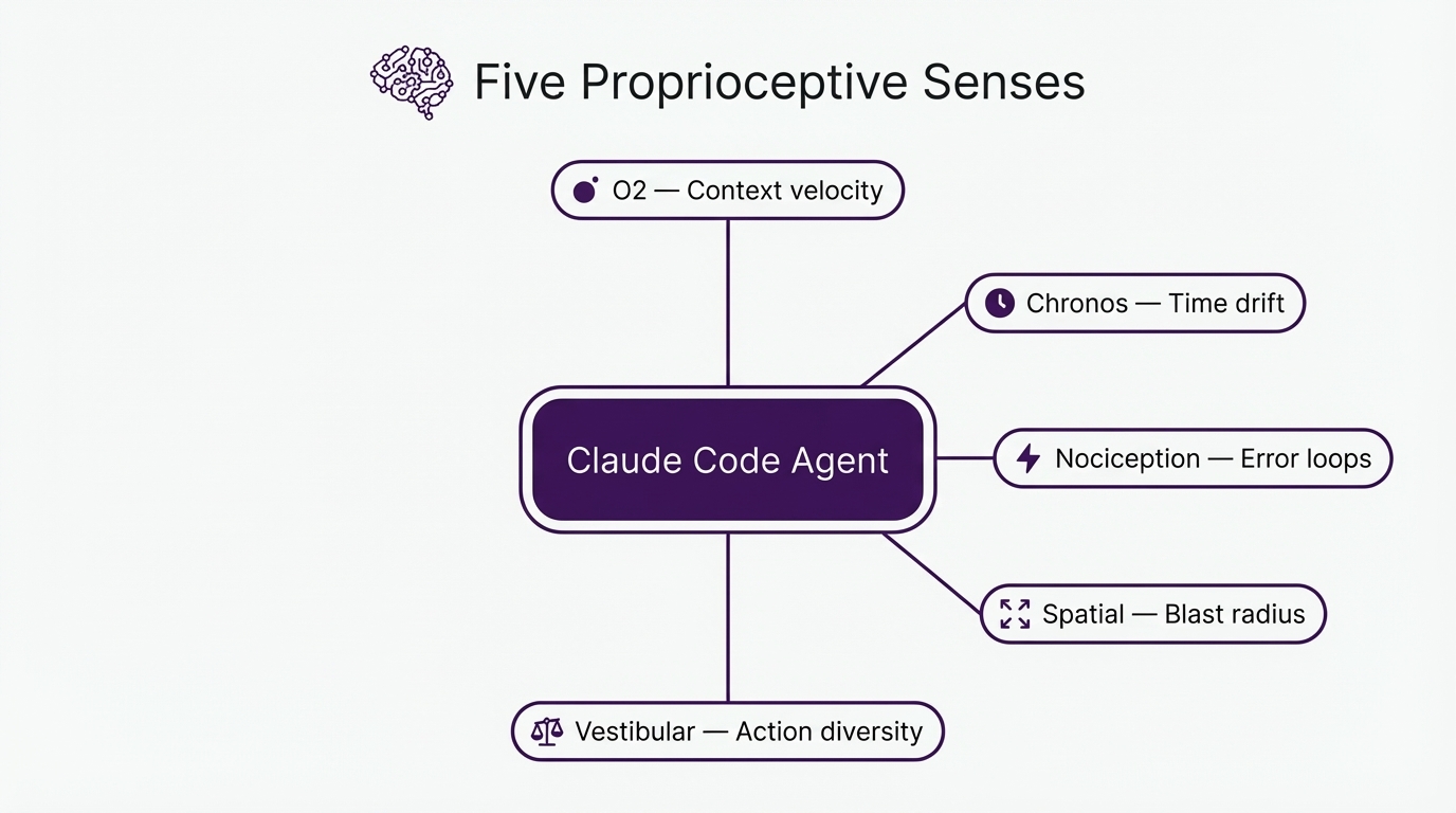 Five proprioceptive senses - O2, Chronos, Nociception, Spatial, and Vestibular - radiating from the agent