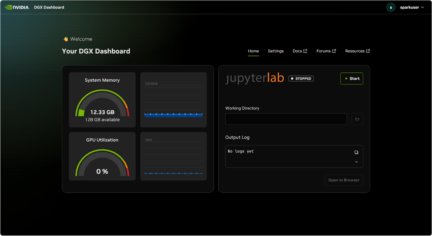 NVIDIA DGX Dashboard showing GPU utilisation and memory usage