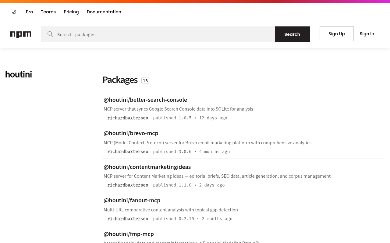npm @houtini organisation page showing all published MCP packages